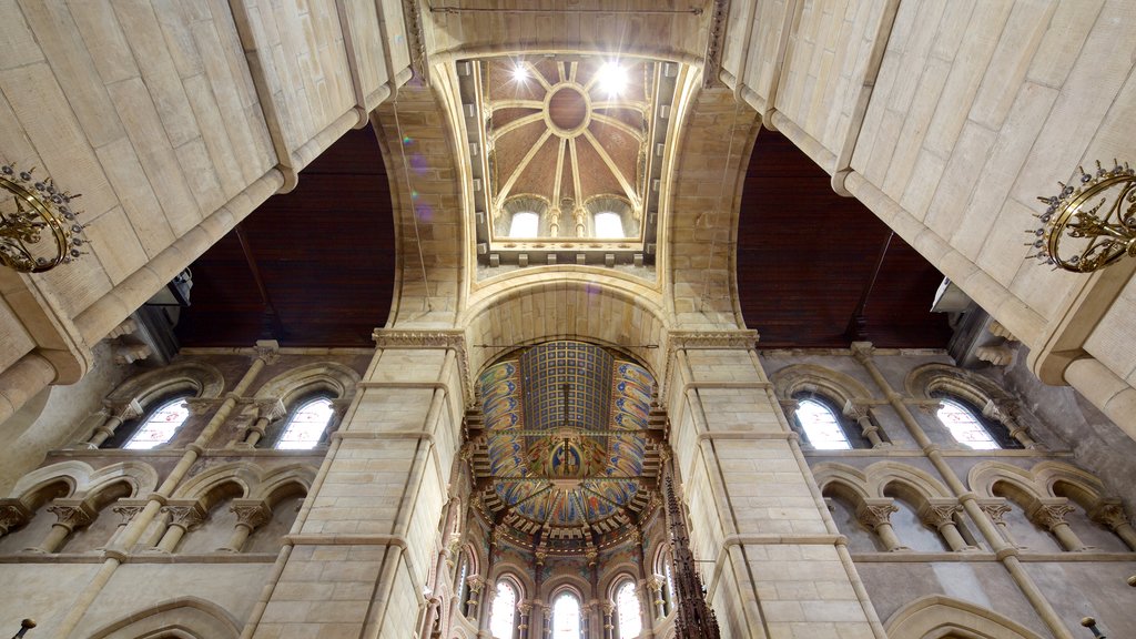 St Fin Barre\'s Cathedral que incluye aspectos religiosos, una iglesia o catedral y vistas interiores