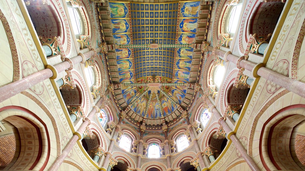 St Fin Barre\'s Cathedral ofreciendo elementos religiosos, vista interna y una iglesia o catedral