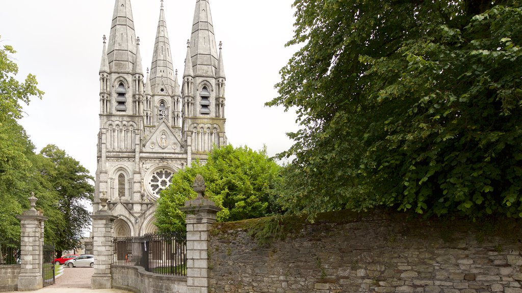 St. Finbarr\'s Cathedral showing a church or cathedral, religious aspects and heritage elements