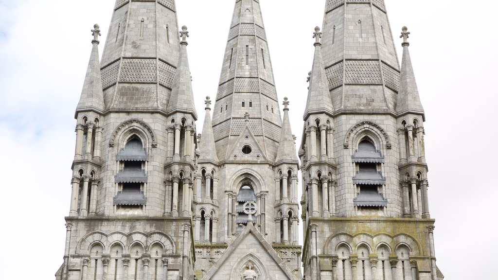 St Fin Barre\'s Cathedral que incluye una iglesia o catedral, arquitectura patrimonial y elementos patrimoniales