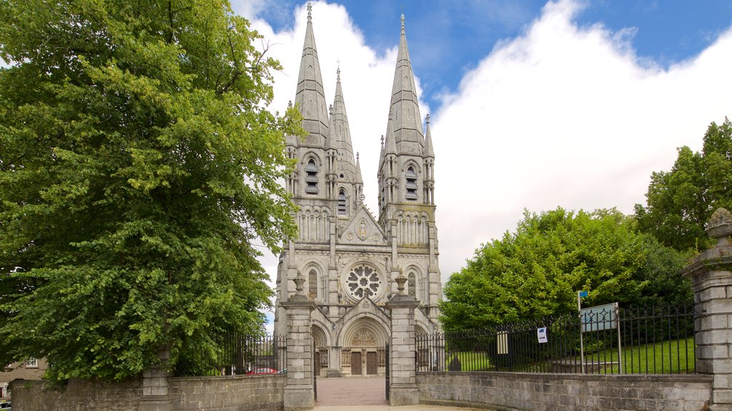 St. Finbarr\'s Cathedral featuring religious elements, heritage elements and heritage architecture