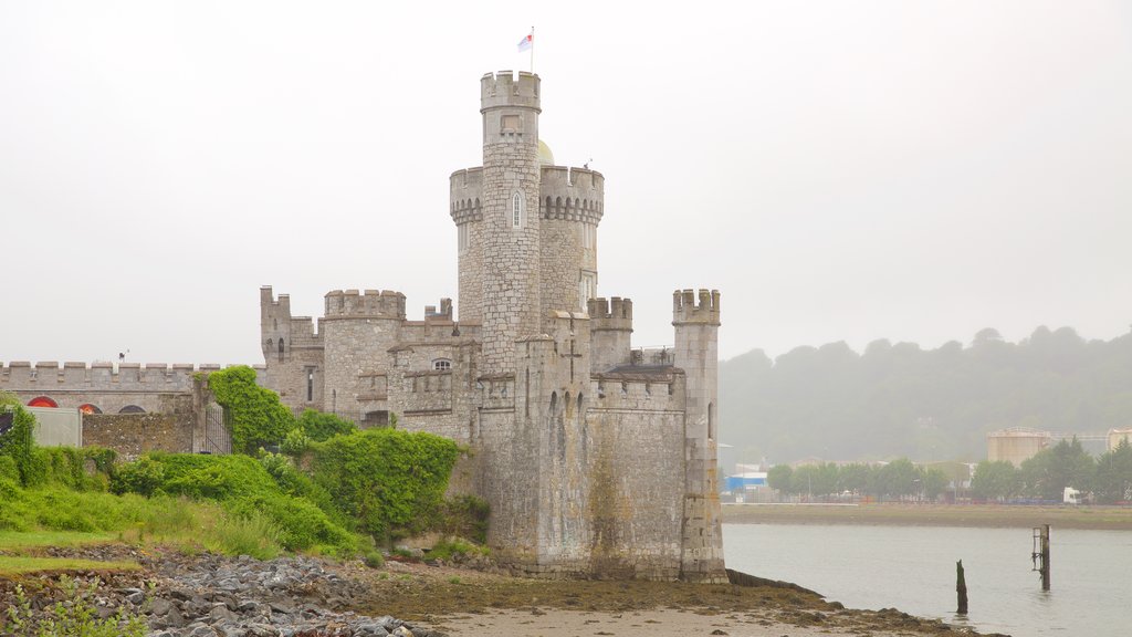 Blackrock Castle which includes heritage elements, a river or creek and château or palace