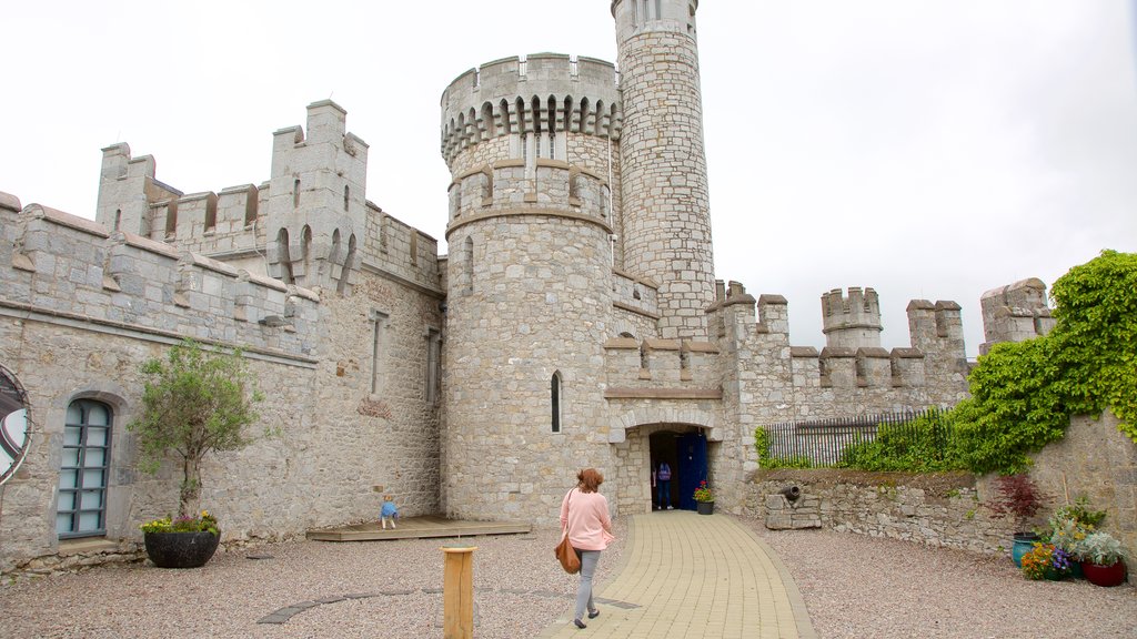 Blackrock Castle featuring château or palace, heritage architecture and heritage elements