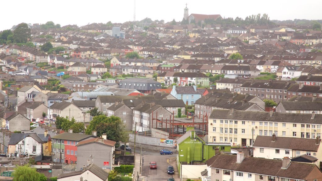 St. Anne\'s Shandon Church showing a city