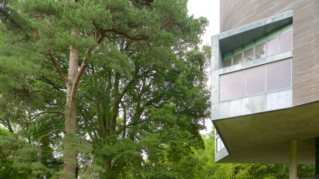 Glucksman Gallery mostrando arquitectura moderna