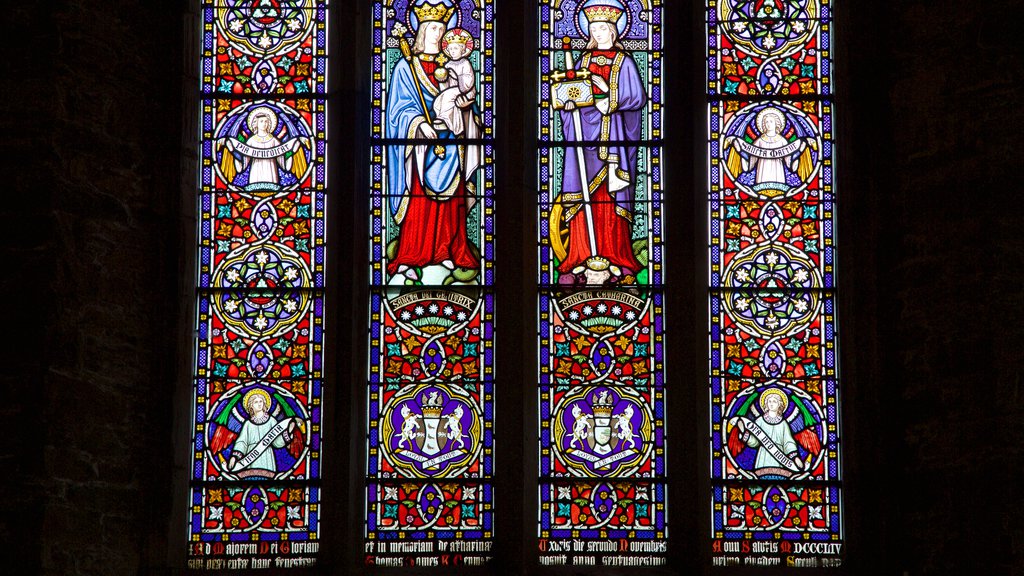 Killarney Cathedral showing a church or cathedral, heritage elements and interior views