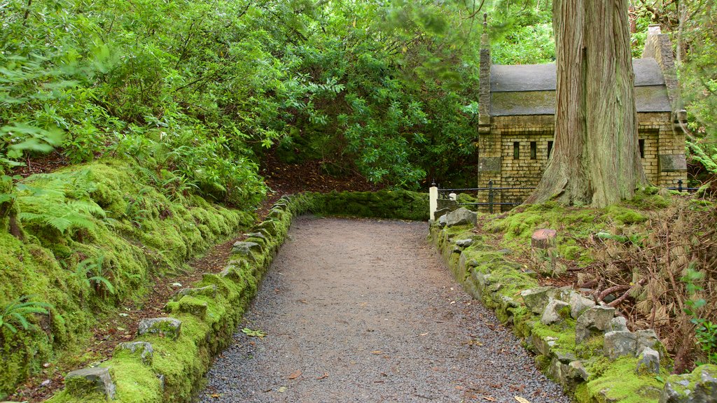 Kylemore Abbey which includes a garden and building ruins