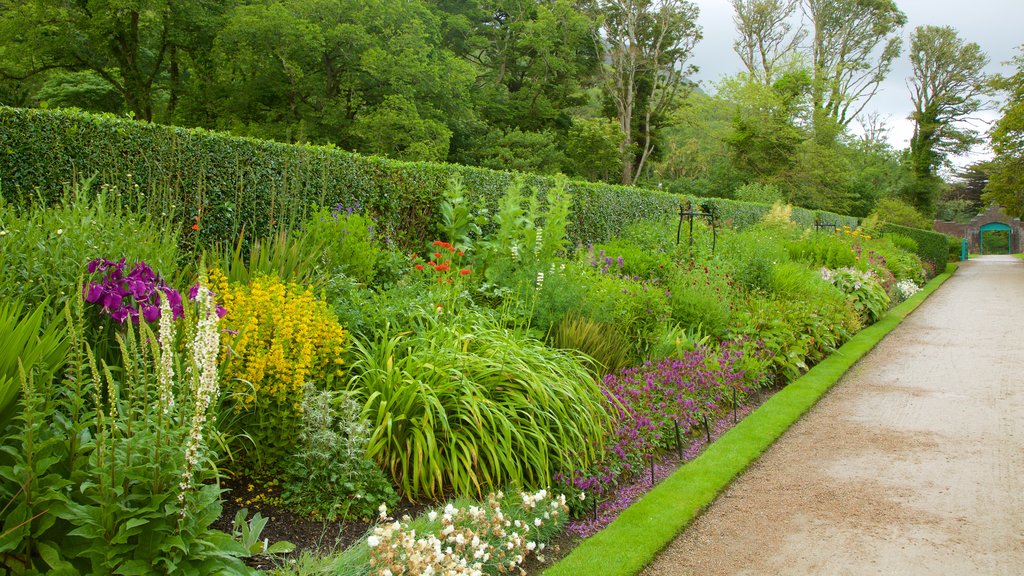 Kylemore Abbey & Garden which includes a park, flowers and chateau or palace