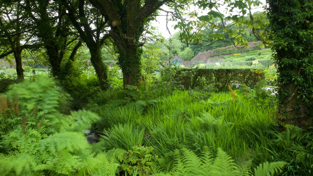 Kylemore Abbey ofreciendo un jardín