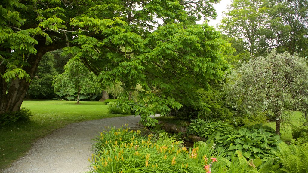 Muckross House showing a garden