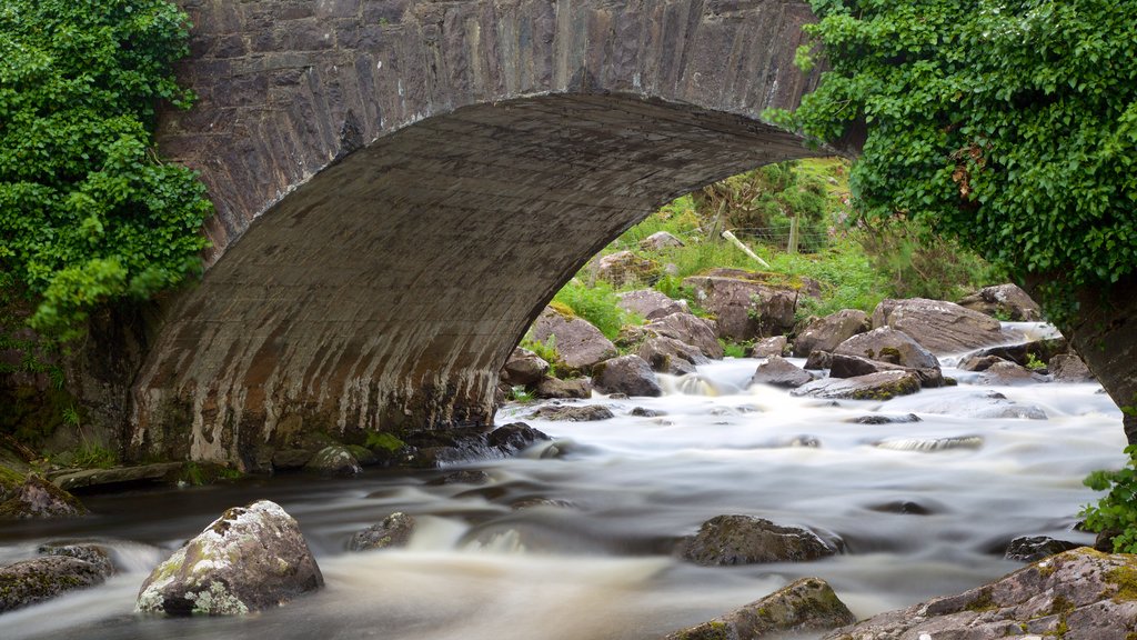 Gap of Dunloe ofreciendo escenas tranquilas, un puente y un río o arroyo