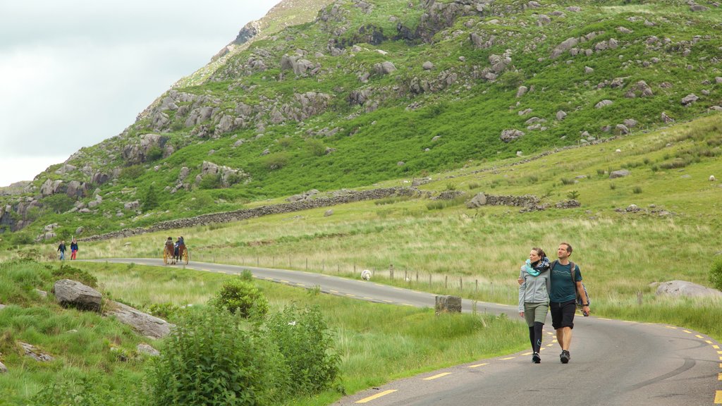 Gap of Dunloe featuring hiking or walking, tranquil scenes and horseriding