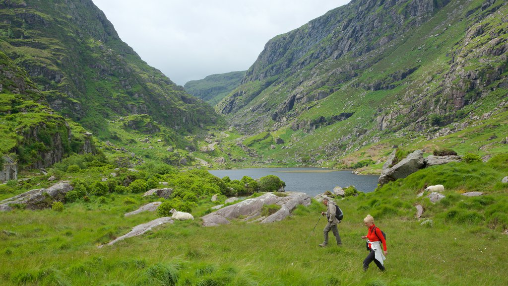 Gap of Dunloe som omfatter en sø eller et vandhul, fredfyldte omgivelser og vandring eller gåture