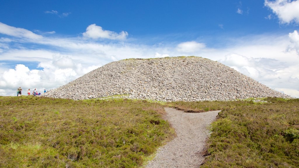 Knocknarea som inkluderer rolig landskap og fjell