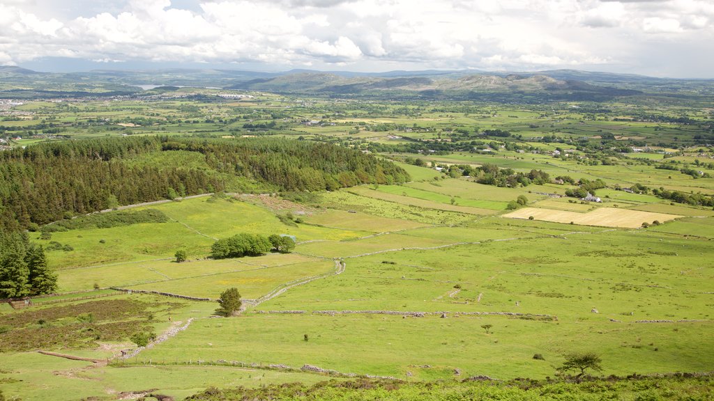 Knocknarea que inclui paisagem e cenas tranquilas