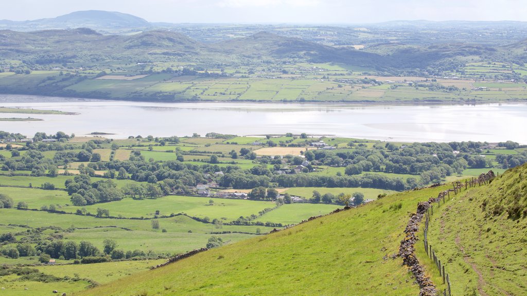 Knocknarea mostrando escenas tranquilas y un río o arroyo