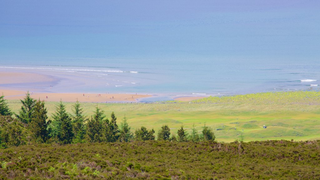 Knocknarea que incluye vistas generales de la costa y escenas tranquilas