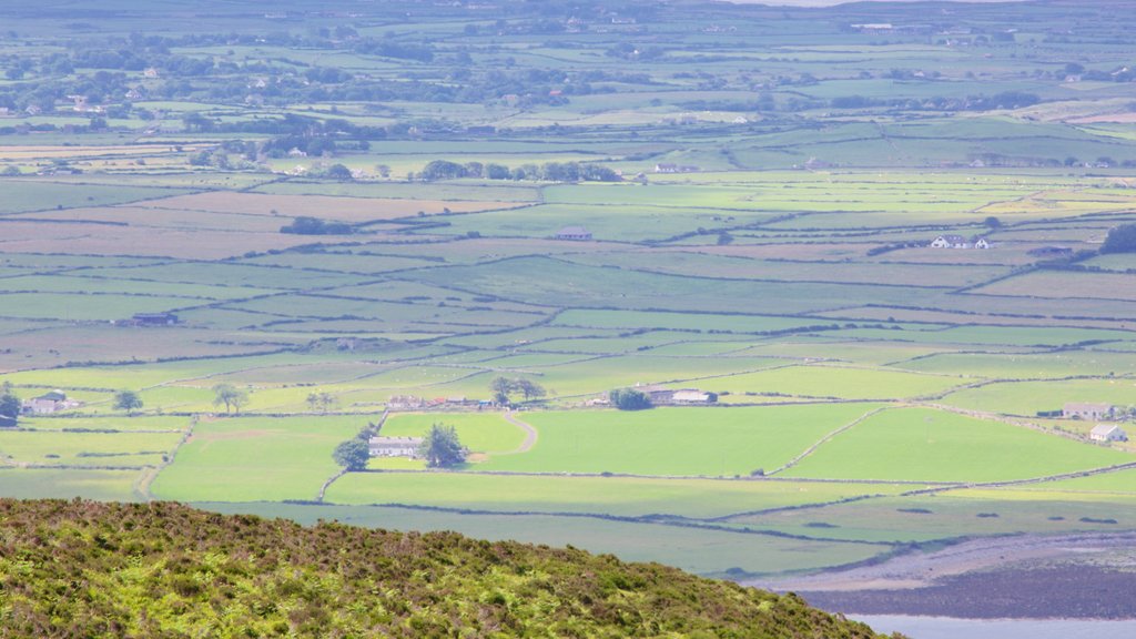 Knocknarea featuring tranquil scenes