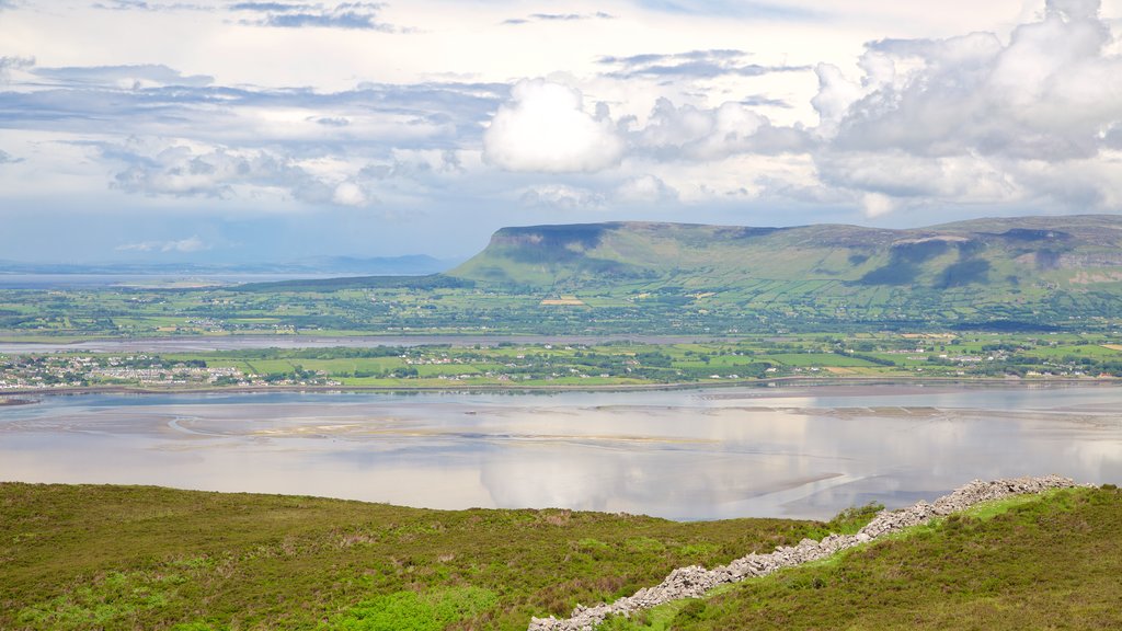 Knocknarea showing tranquil scenes, general coastal views and landscape views