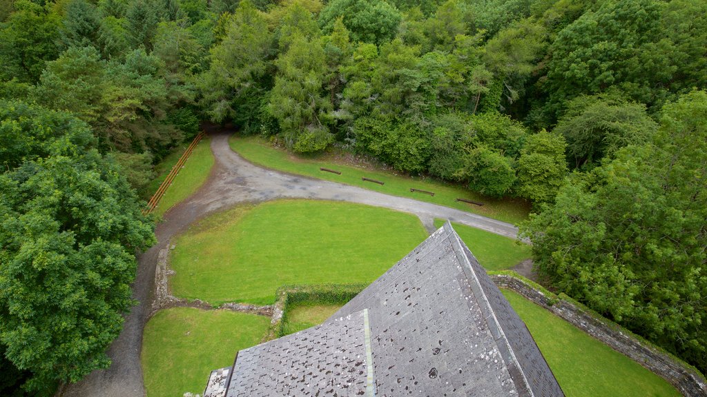 Craggaunowen que inclui elementos de patrimônio, um pequeno castelo ou palácio e arquitetura de patrimônio