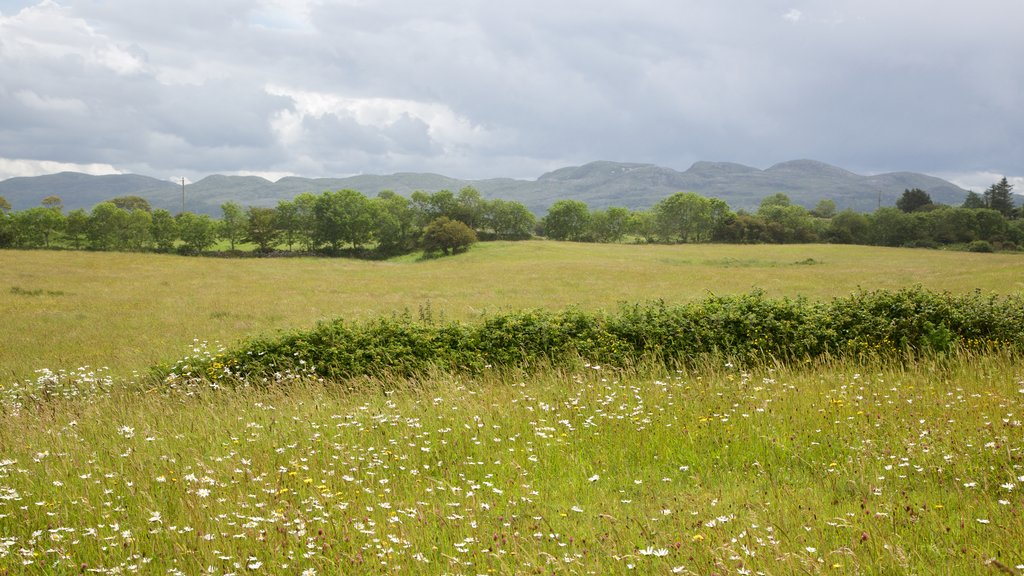 Carrowmore Megalithic Cemetery which includes tranquil scenes and landscape views