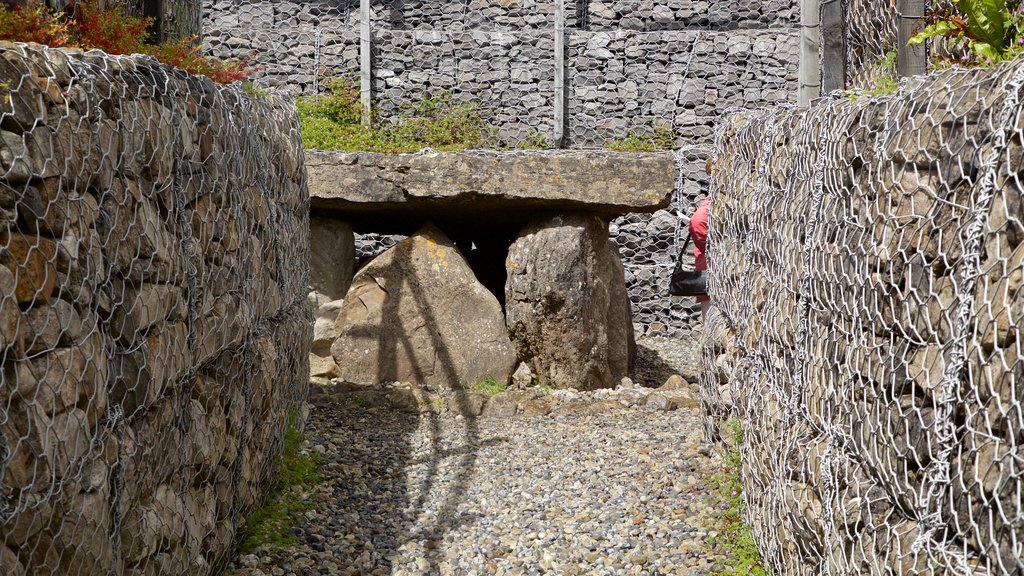 Tombe à couloir de Carrowmore qui includes cimetière et patrimoine historique