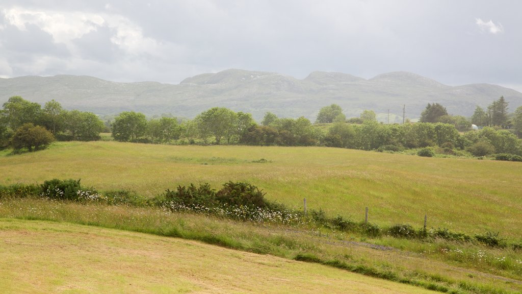 Carrowmore Megalithic Cemetery som viser fredfyldte omgivelser