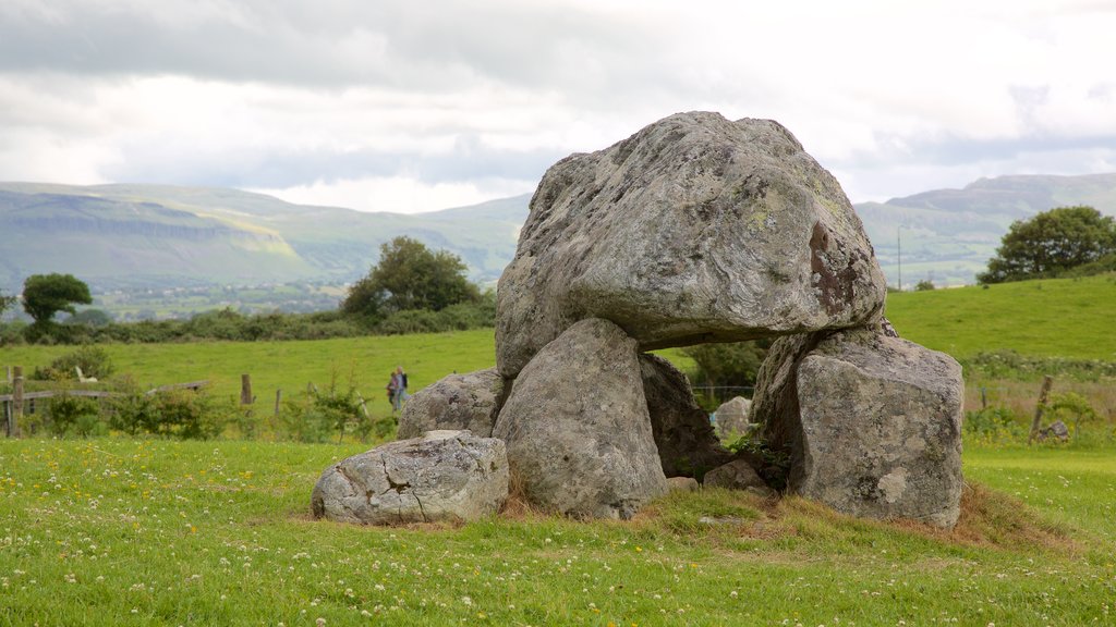 Carrowmore Megalithic Cemetery which includes heritage elements and a cemetery