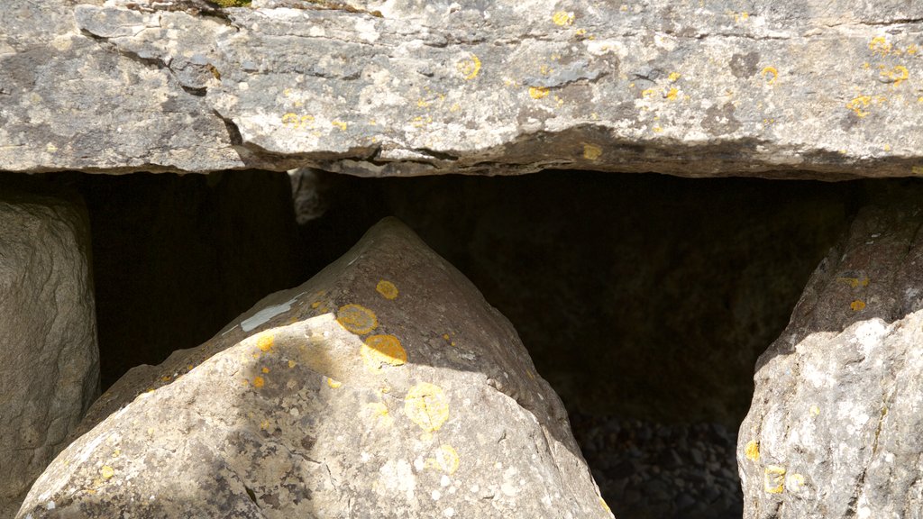 Carrowmore Megalithic Cemetery que incluye un cementerio y elementos patrimoniales