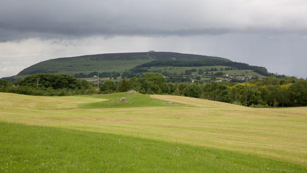 Carrowmore Megalithic Cemetery que incluye escenas tranquilas