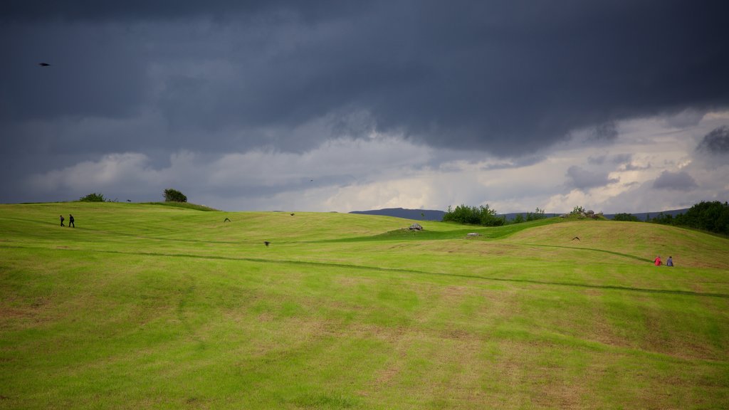 Carrowmore Megalithic Cemetery showing tranquil scenes and landscape views