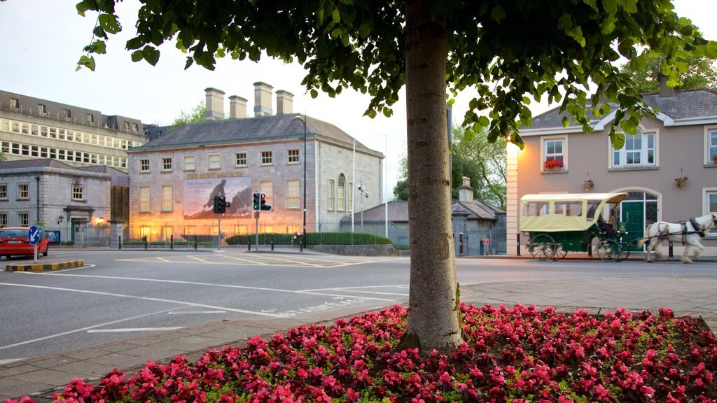 Hunt Museum mostrando cenas de rua e uma praça ou plaza