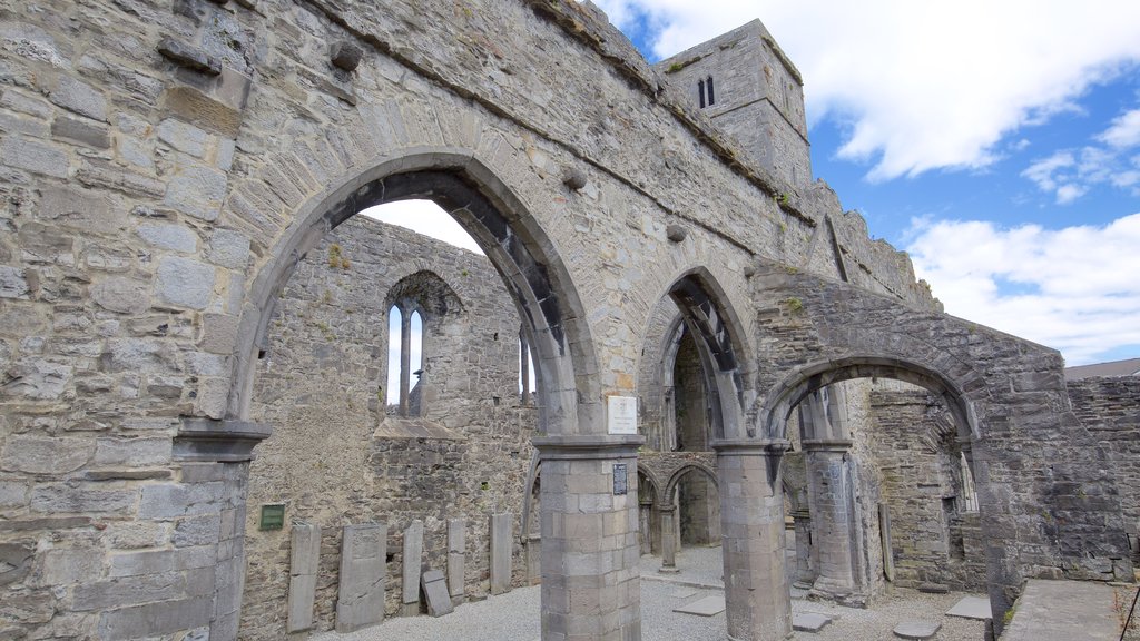 Abbaye de Sligo montrant architecture patrimoniale, château ou palais et éléments du patrimoine