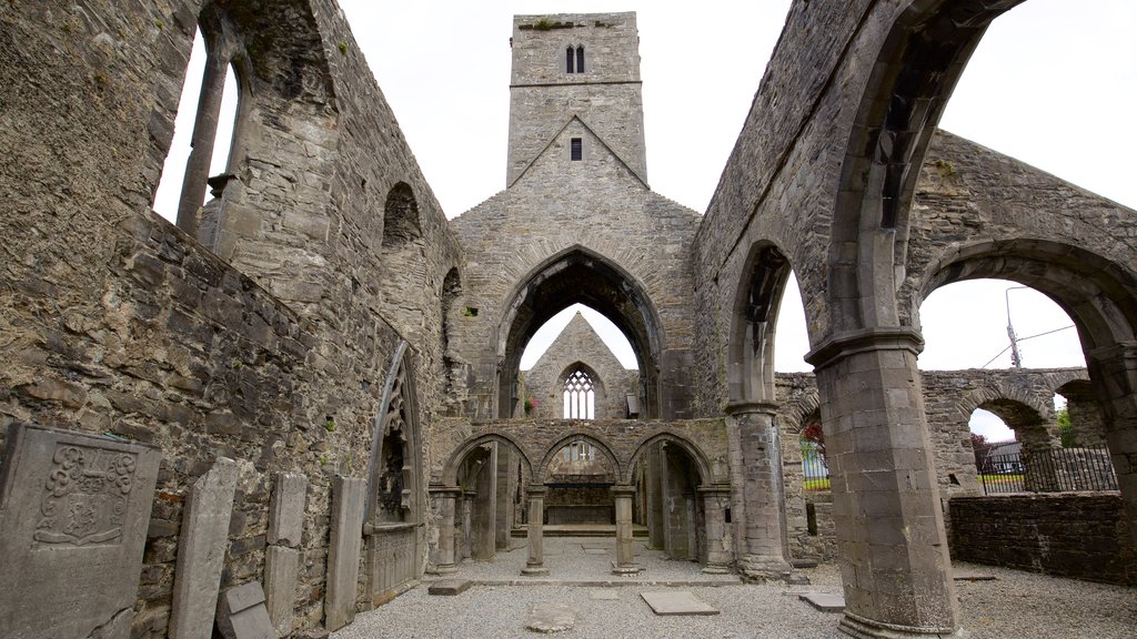 Sligo Abbey mostrando castillo o palacio, una ruina y elementos patrimoniales