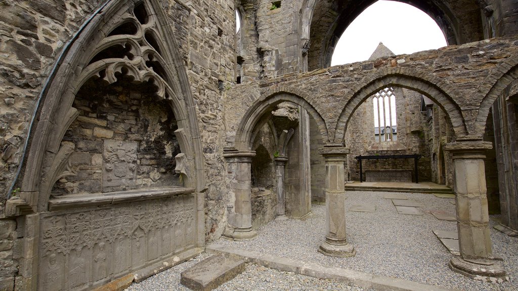 Sligo Abbey featuring heritage elements, a castle and building ruins