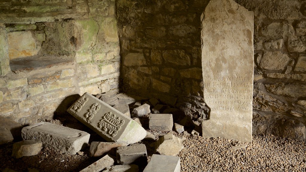 Sligo Abbey que incluye ruinas de un edificio, castillo o palacio y elementos patrimoniales