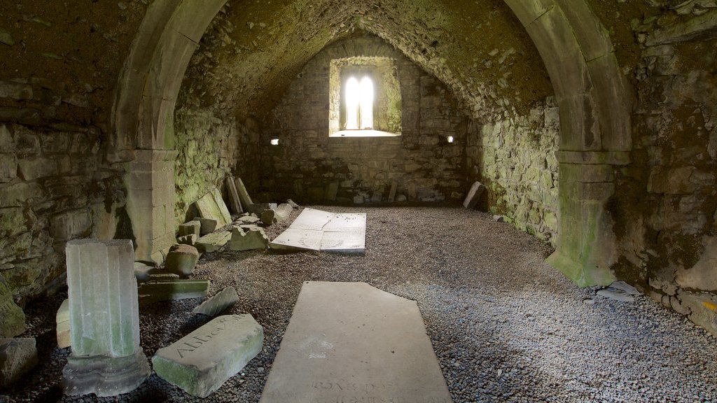 Sligo Abbey featuring a castle, heritage elements and a ruin