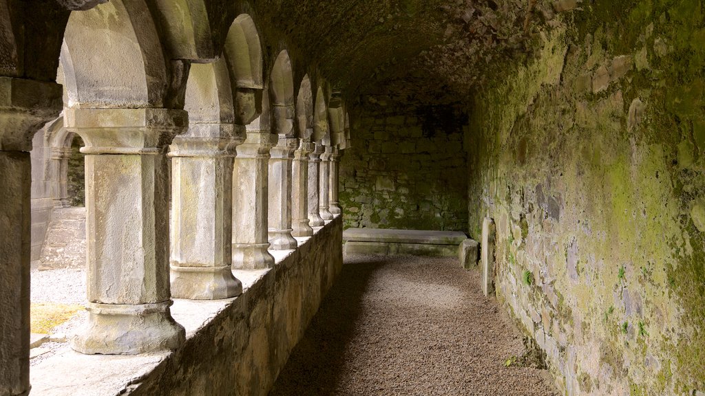 Sligo Abbey featuring heritage architecture, a castle and heritage elements