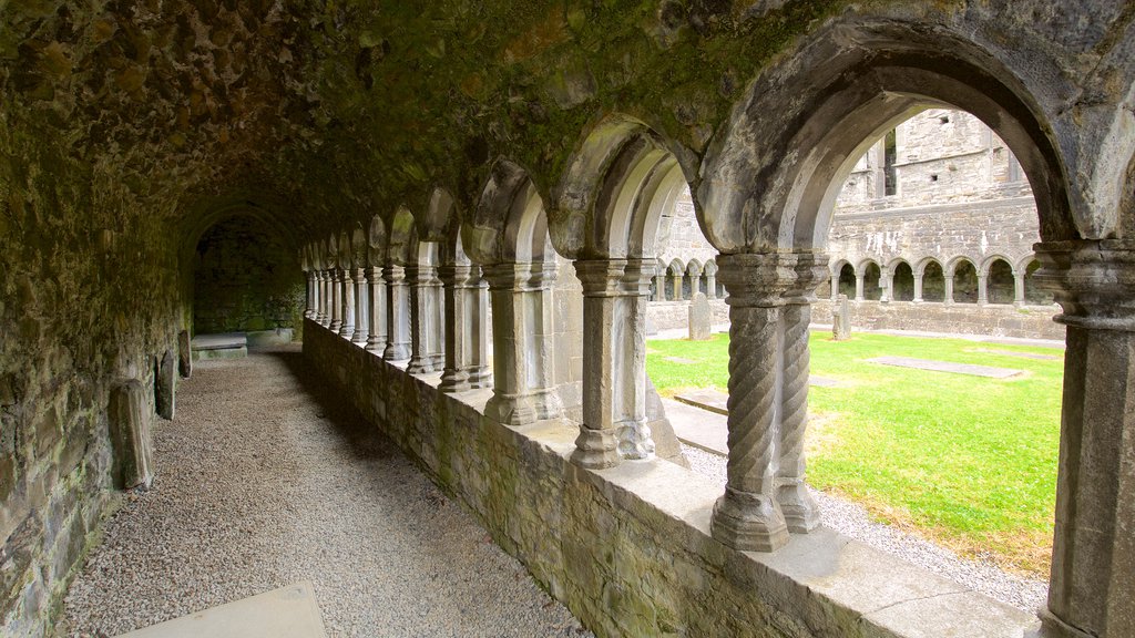 Sligo Abbey mostrando elementos patrimoniales, un castillo y arquitectura patrimonial