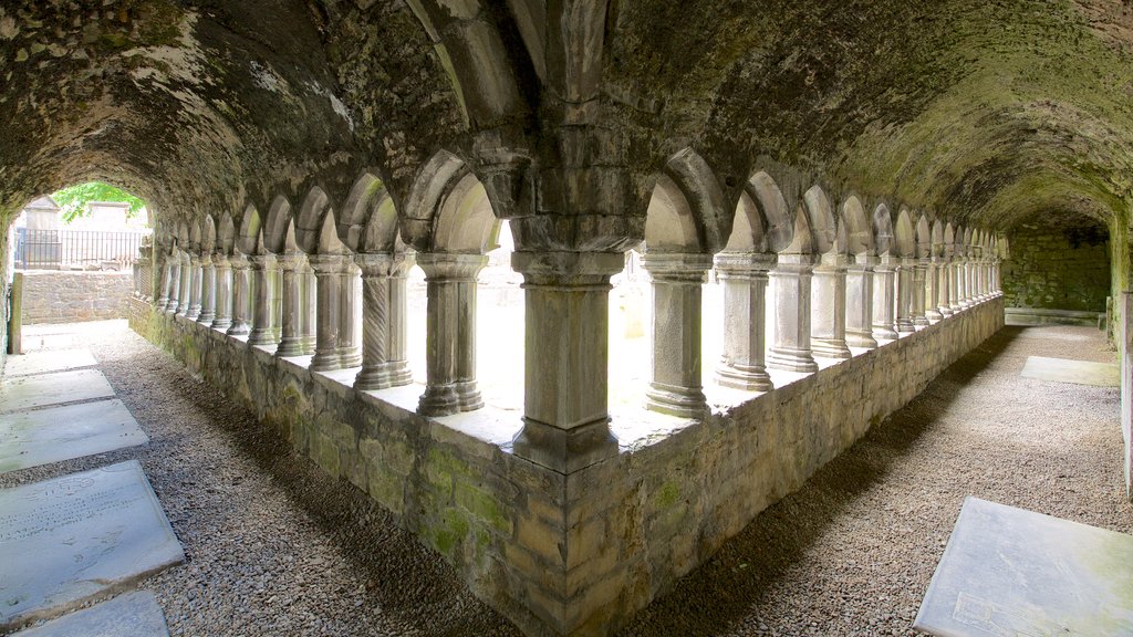 Sligo Abbey ofreciendo elementos del patrimonio, patrimonio de arquitectura y ruinas de edificios