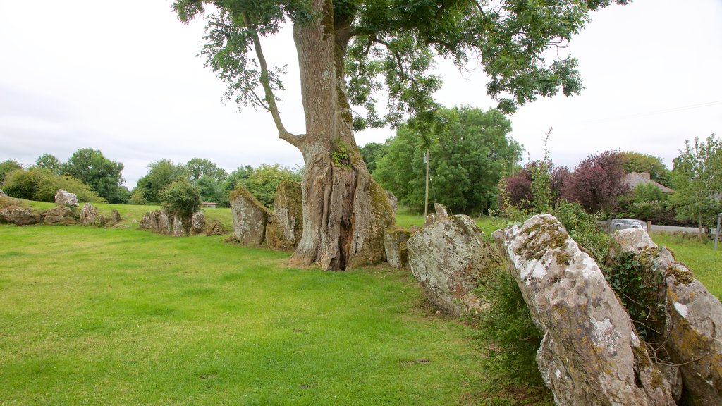 Grange Stone Circle ofreciendo elementos del patrimonio y un monumento