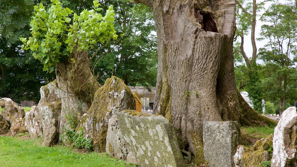 Grange Stone Circle mostrando um monumento e elementos de patrimônio