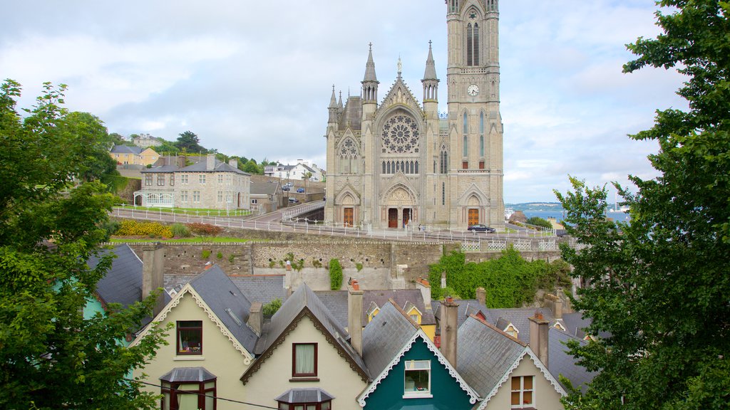 St. Colman\'s Cathedral mostrando elementos religiosos, elementos del patrimonio y una iglesia o catedral