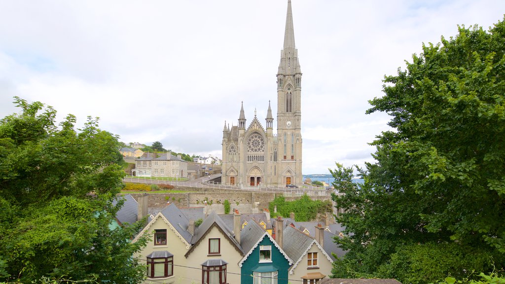 St. Colman\'s Cathedral featuring a church or cathedral, heritage architecture and religious aspects