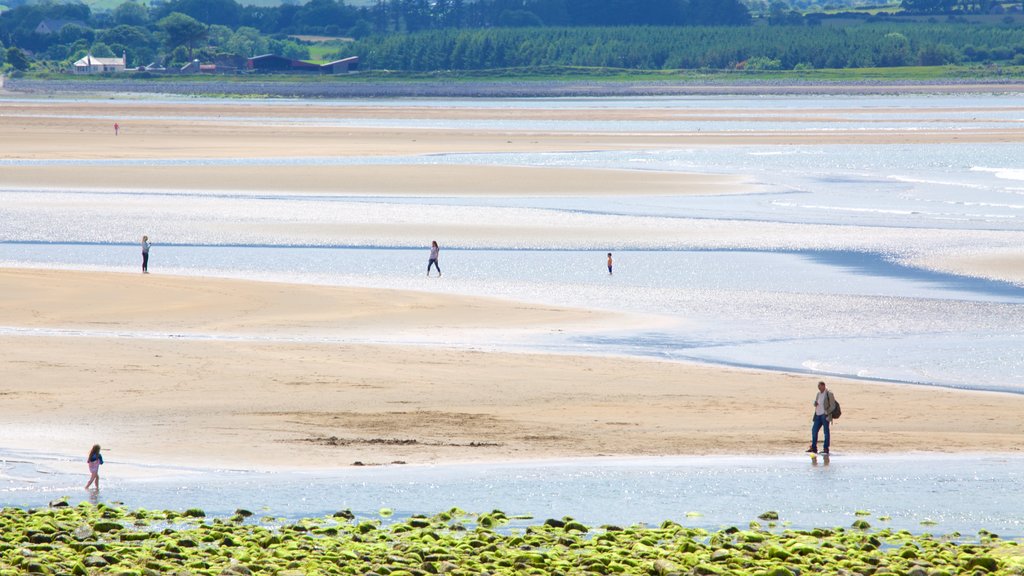 Strandhill Beach que inclui uma praia