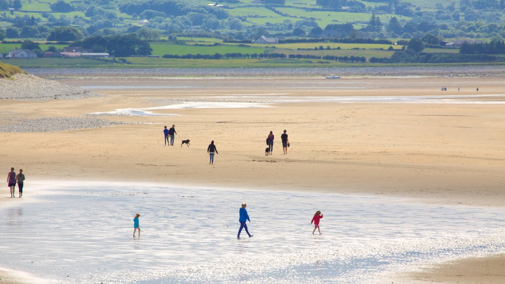 Strandhill Beach which includes tranquil scenes and a sandy beach