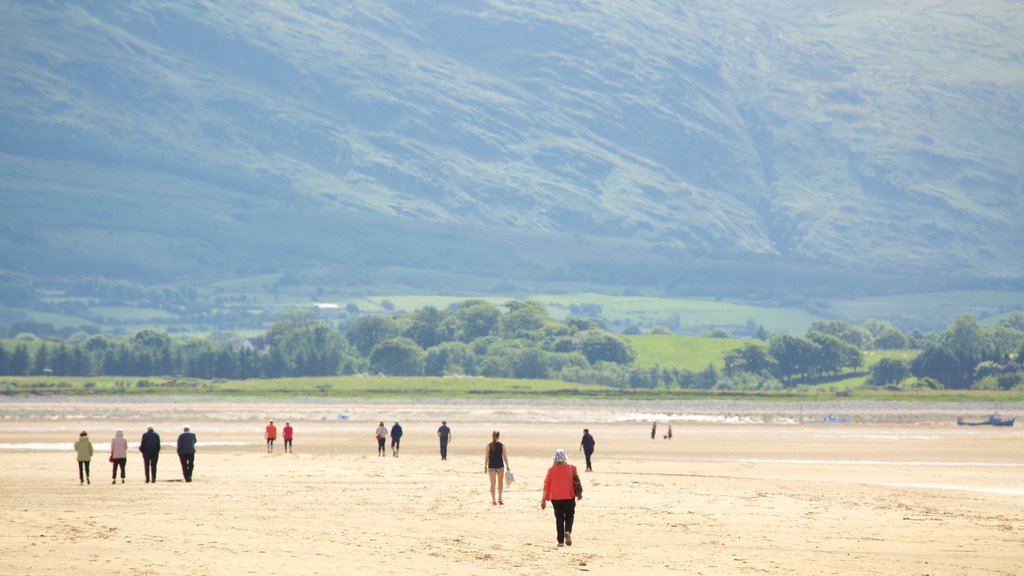 Strandhill Beach que inclui cenas tranquilas e uma praia assim como um pequeno grupo de pessoas