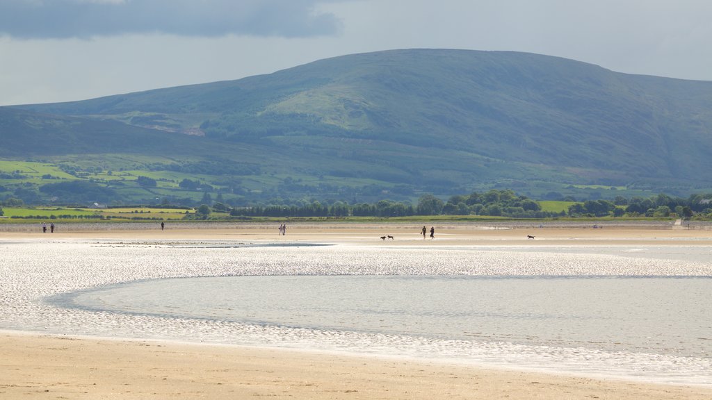 Strandhill Beach which includes tranquil scenes and a beach