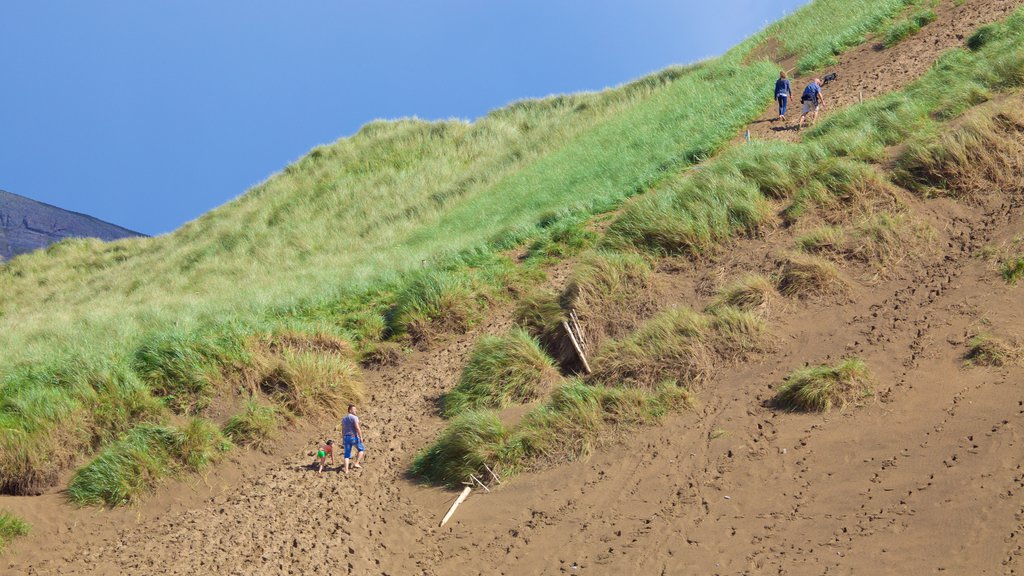 Strandhill Beach which includes a beach, hiking or walking and tranquil scenes