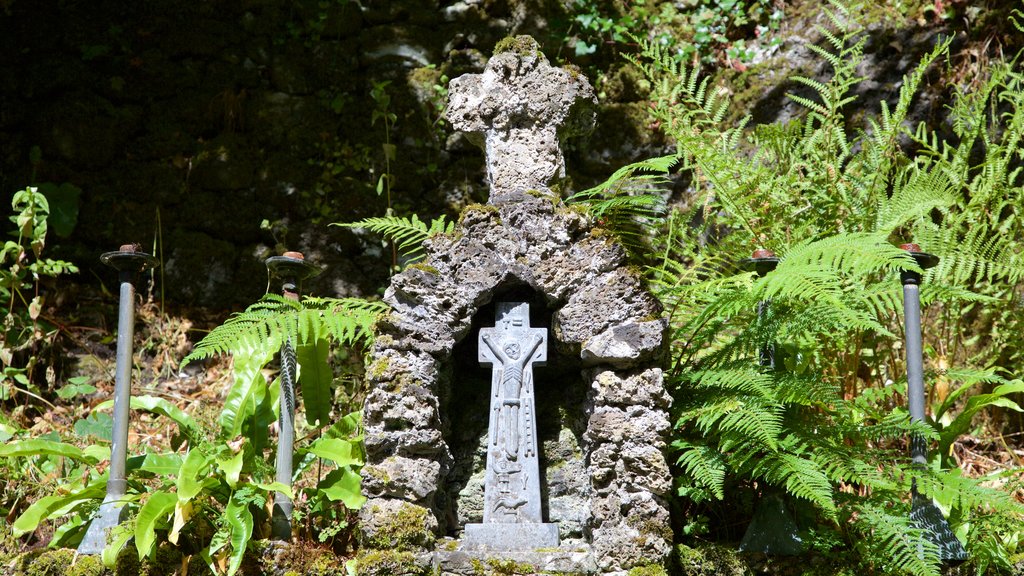 Tobernalt Holy Well showing heritage elements and religious aspects